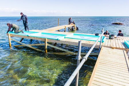 2117-Badebro-på-plads-HJ-63-1-e1753267321407