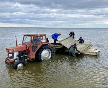 2 dårlige og 2 gode nyheder