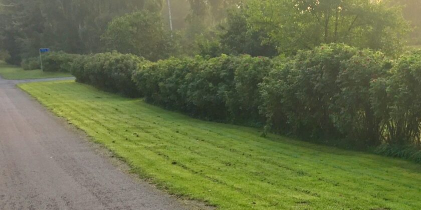 Fri adgang/passage på forstykkerne (fortovene)